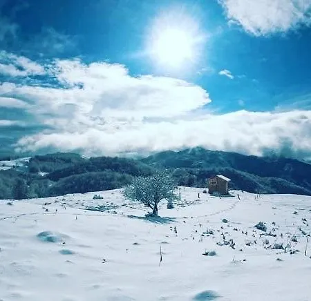 Campsite Camping Shengjergj